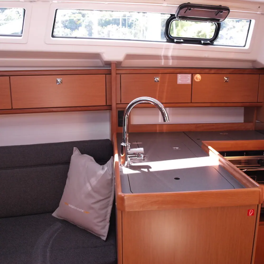 Sea Lion 8