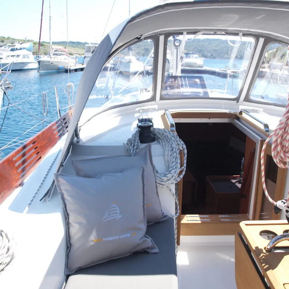 Sea Lion 15