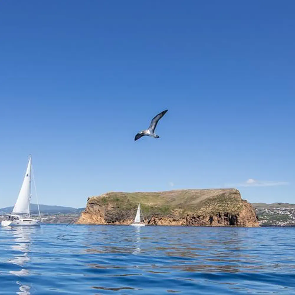 Sailtours 7