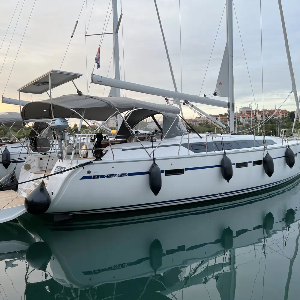 Panda IV 1