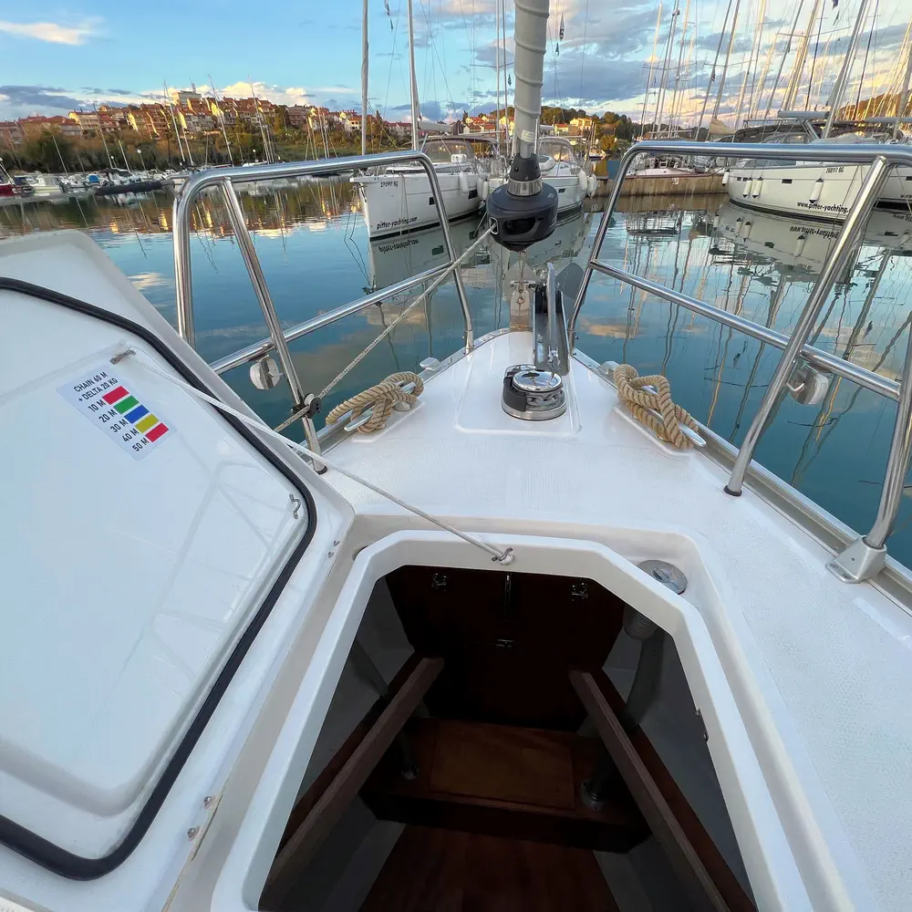 Panda IV 13