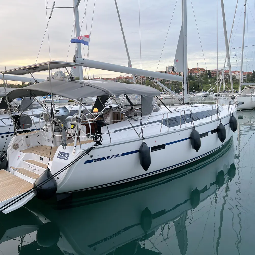 Panda IV 17