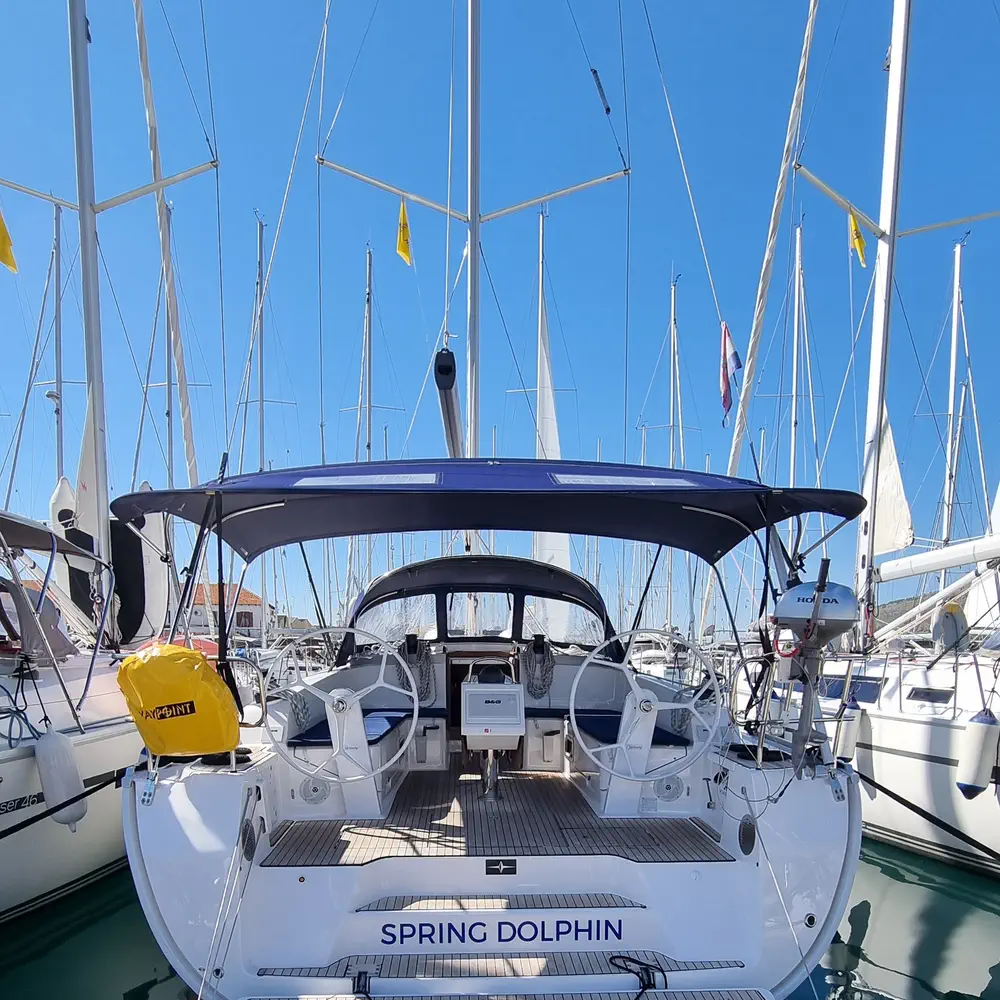 Spring Dolphin 7