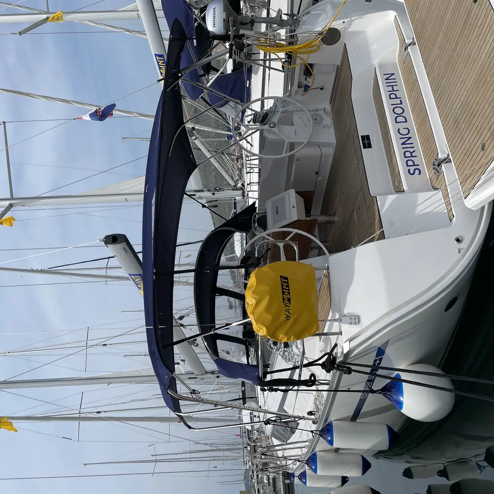 Spring Dolphin 15