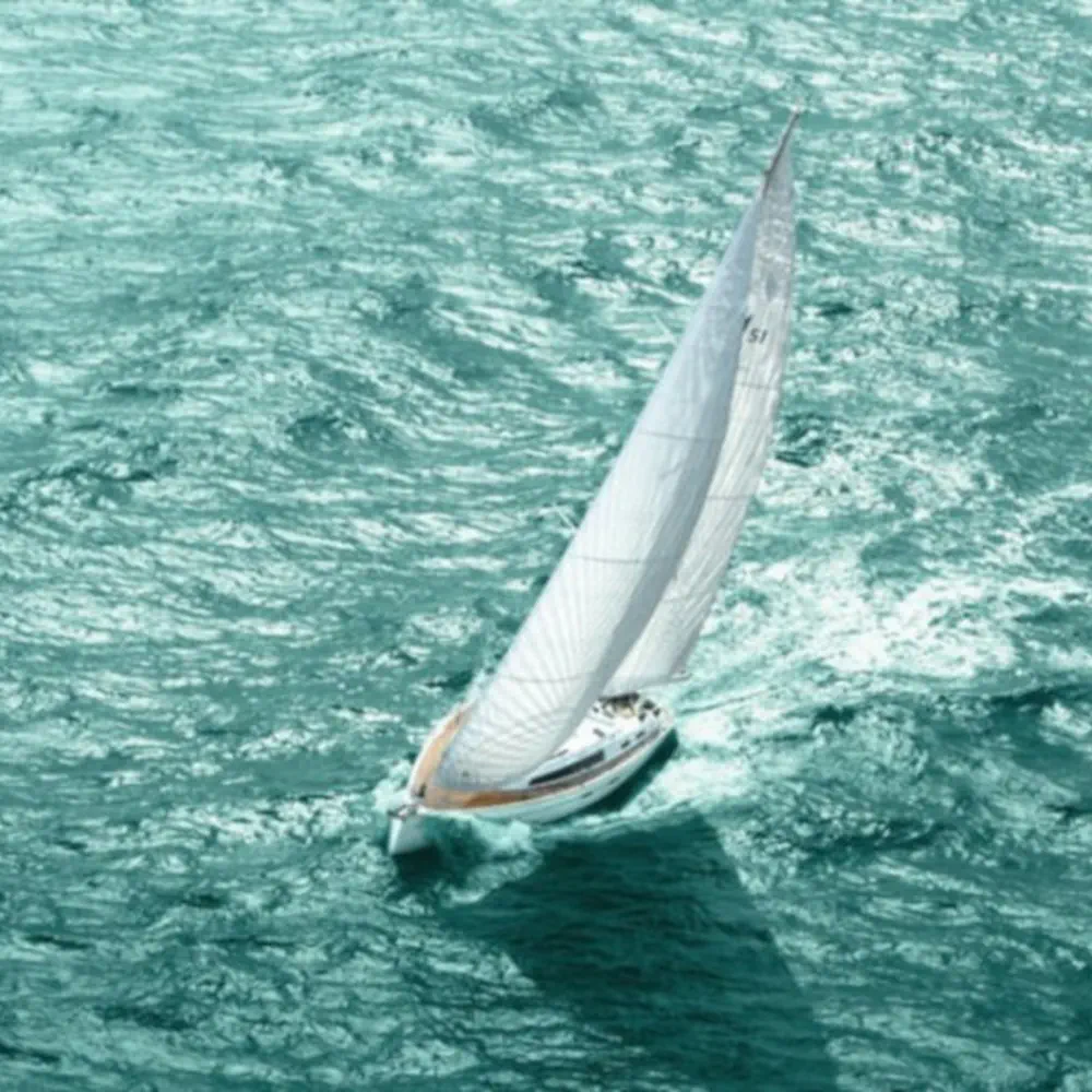 Alma Libre III 6