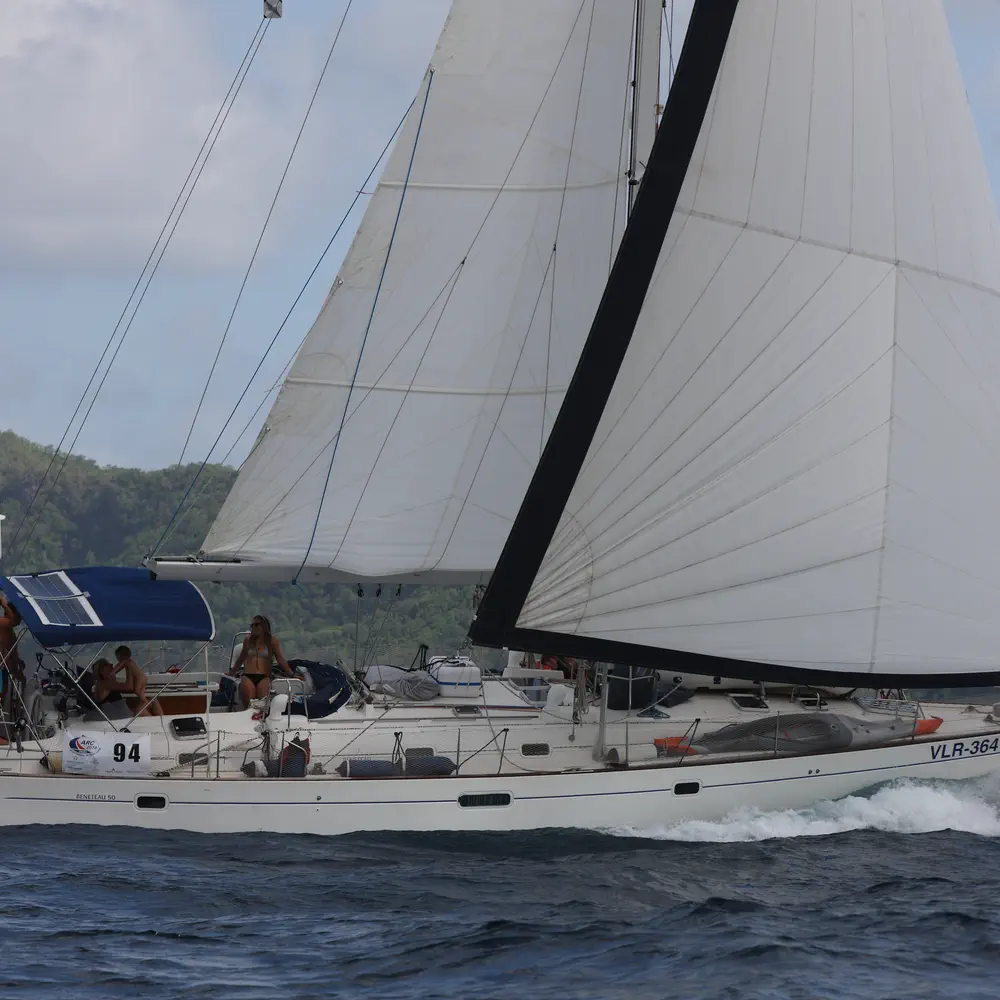 Tetina 31