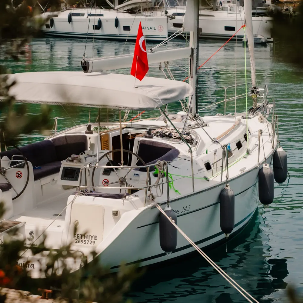 Artemisia 4