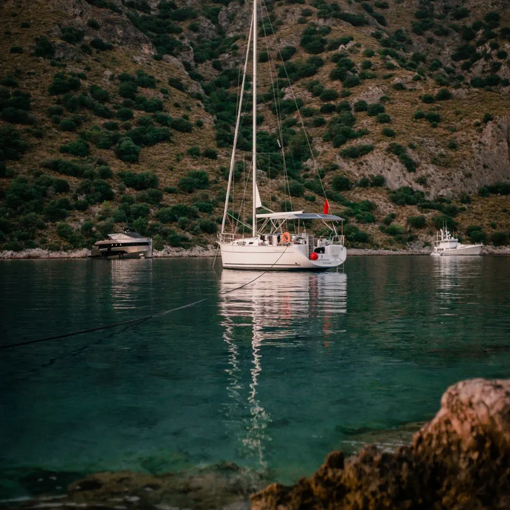 Artemisia 7