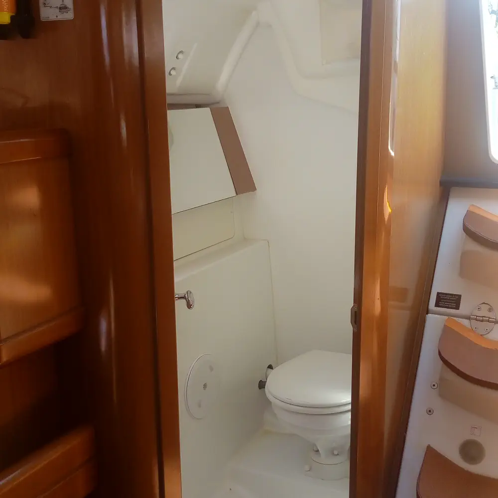 TRIZONIA  6