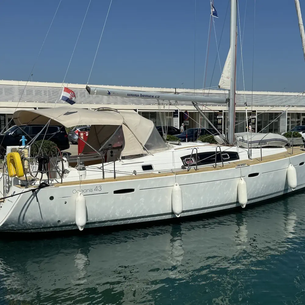 Magnolia 15