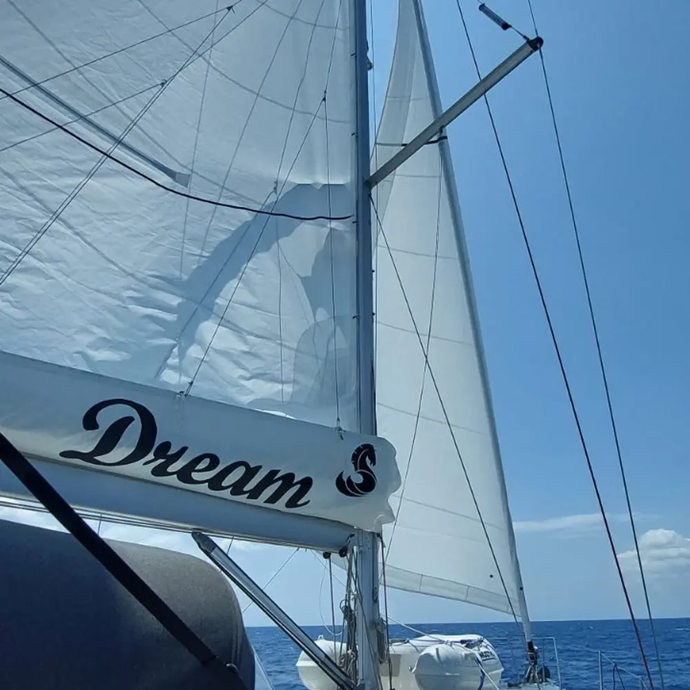 DREAM 20