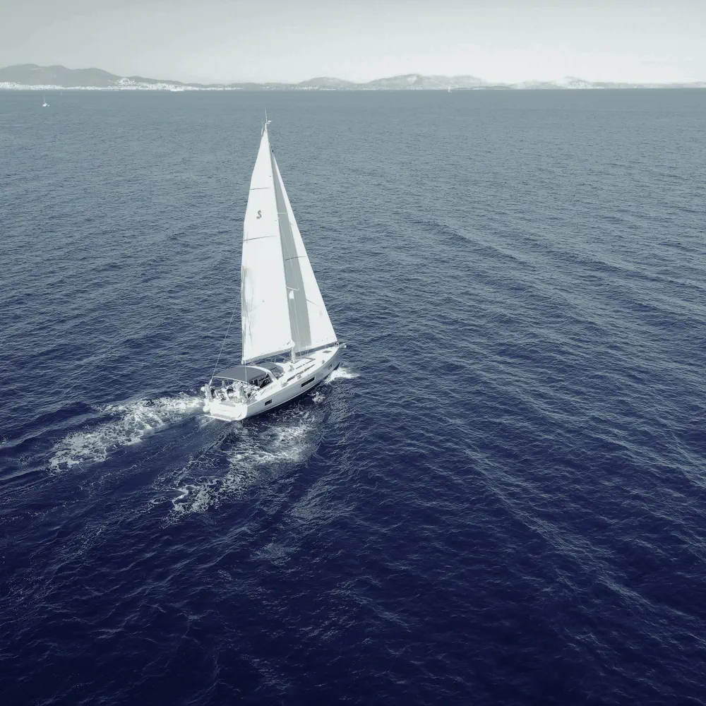 Lupo Di Mare 3