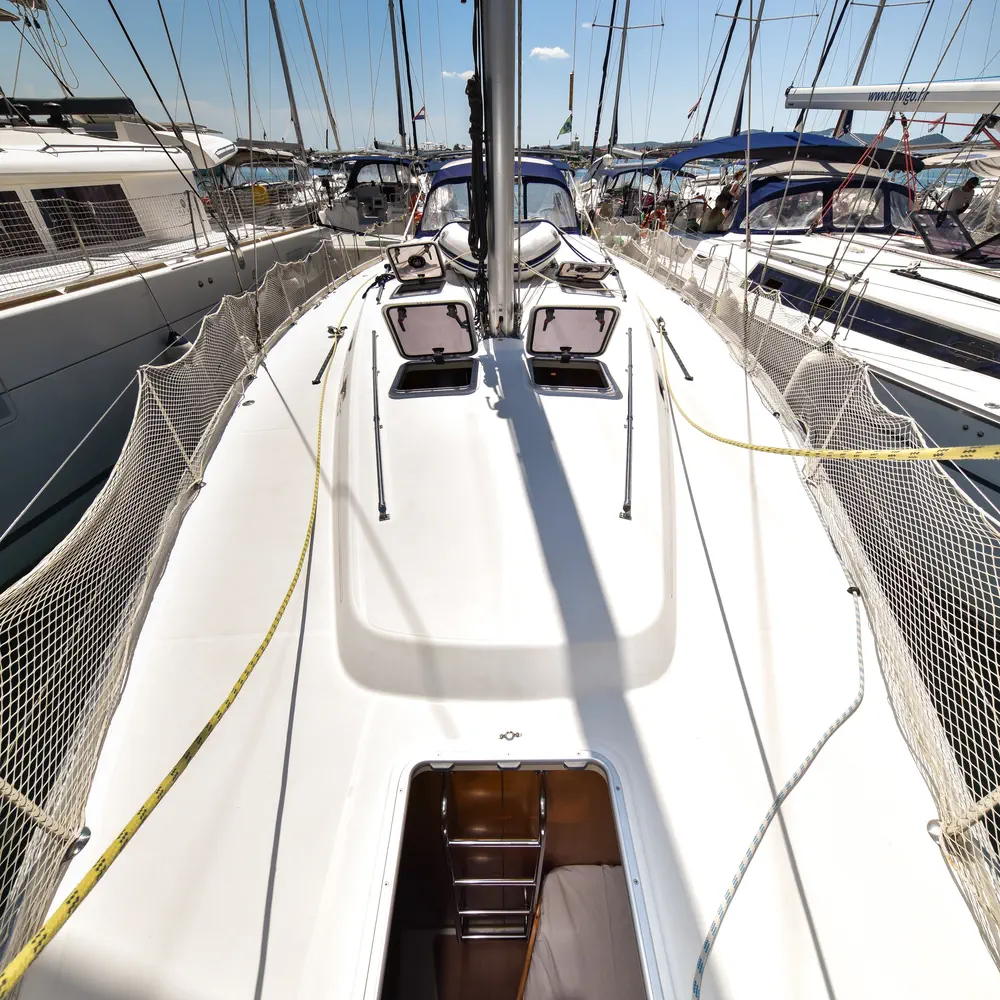 Papalina 41