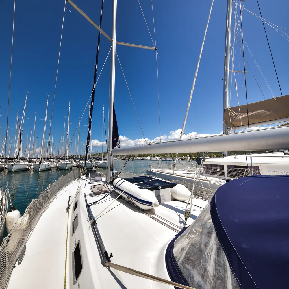 Papalina 43
