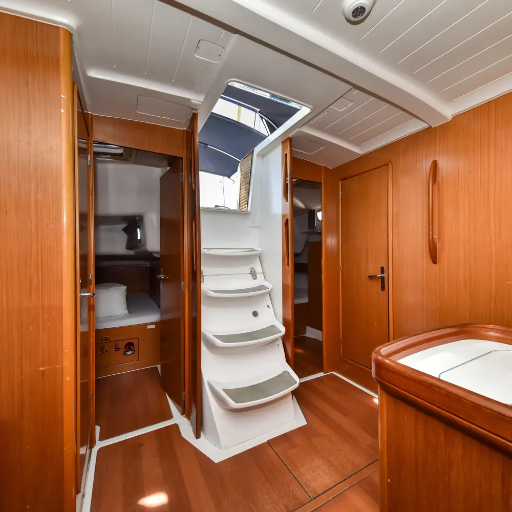 Papalina 51