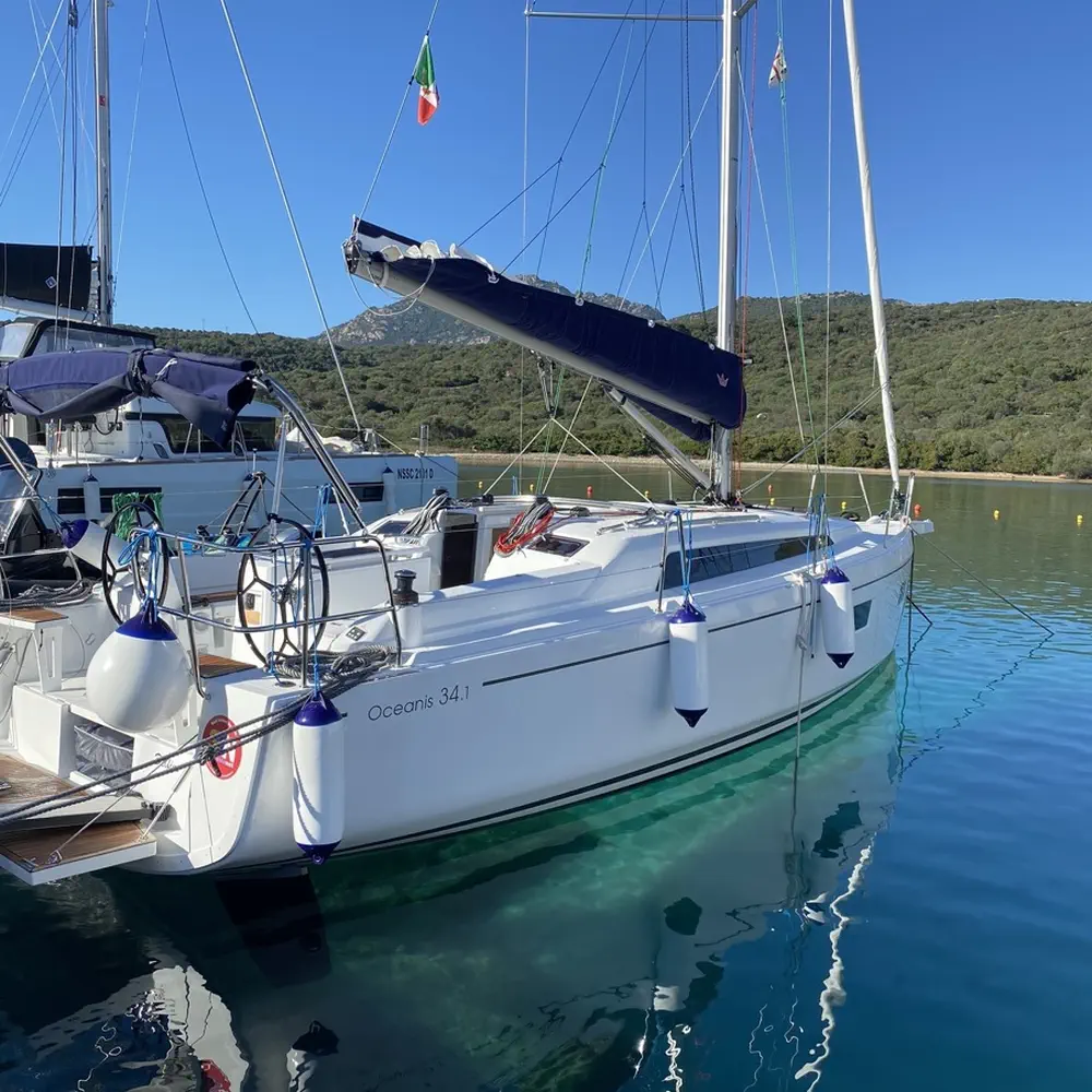 Delfino 12