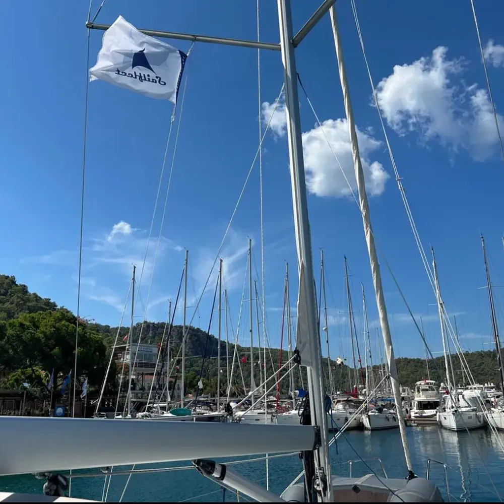 Sail Lynx 4
