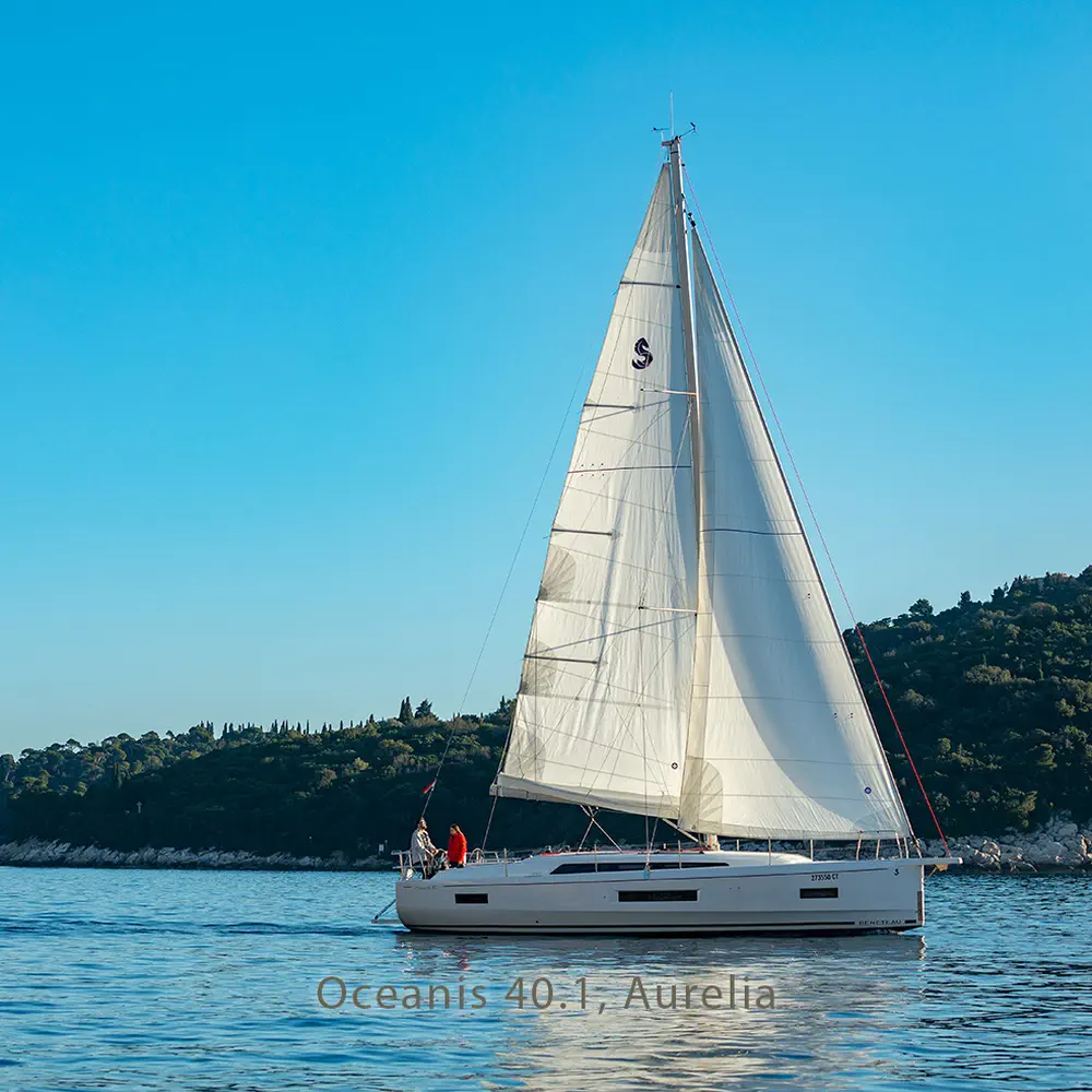 Aurelia 5