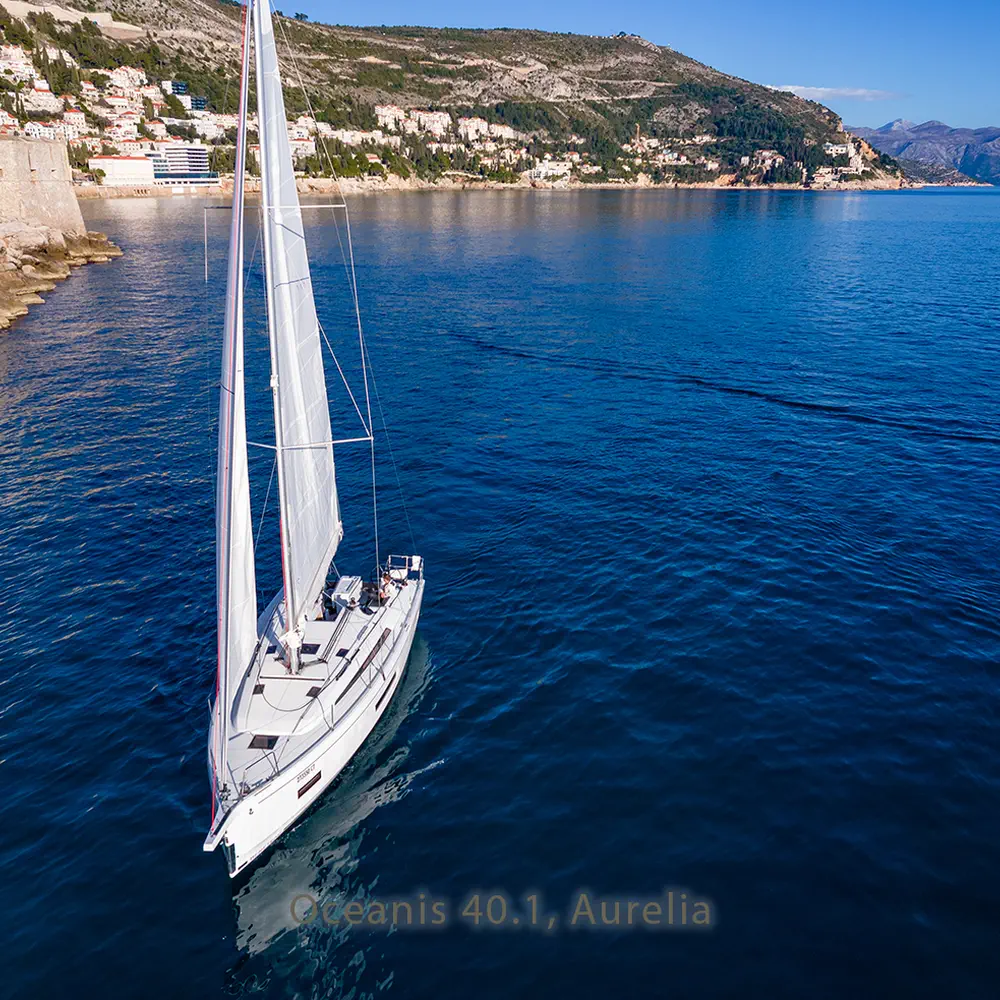 Aurelia 14