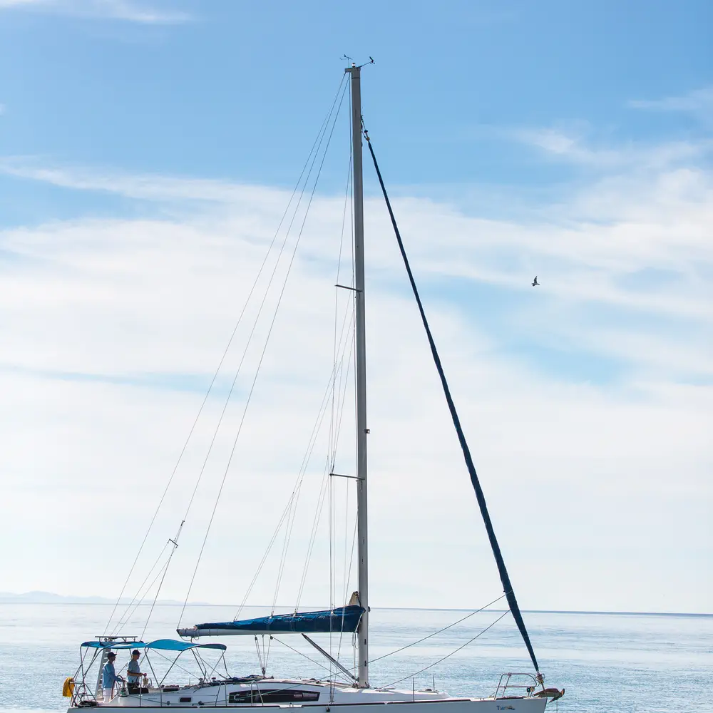TIAMO  31