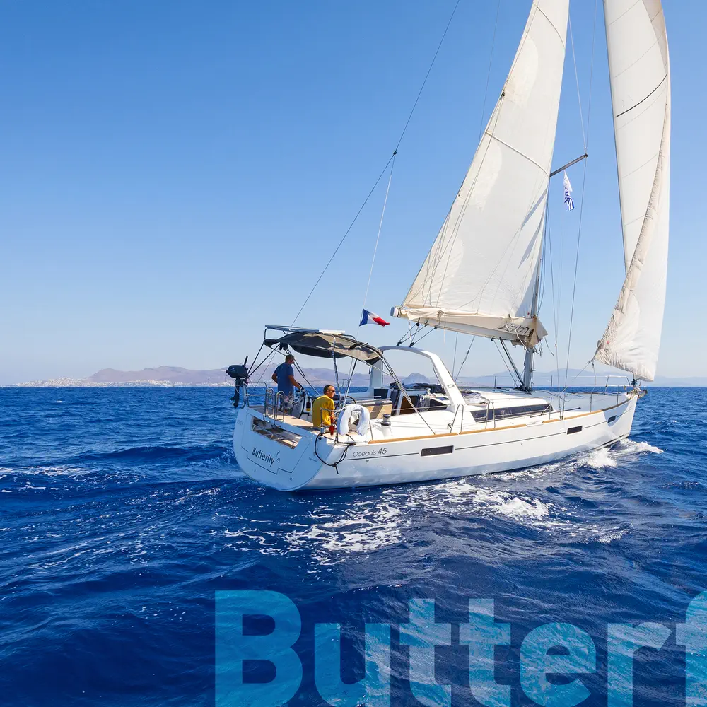 Butterfly 15