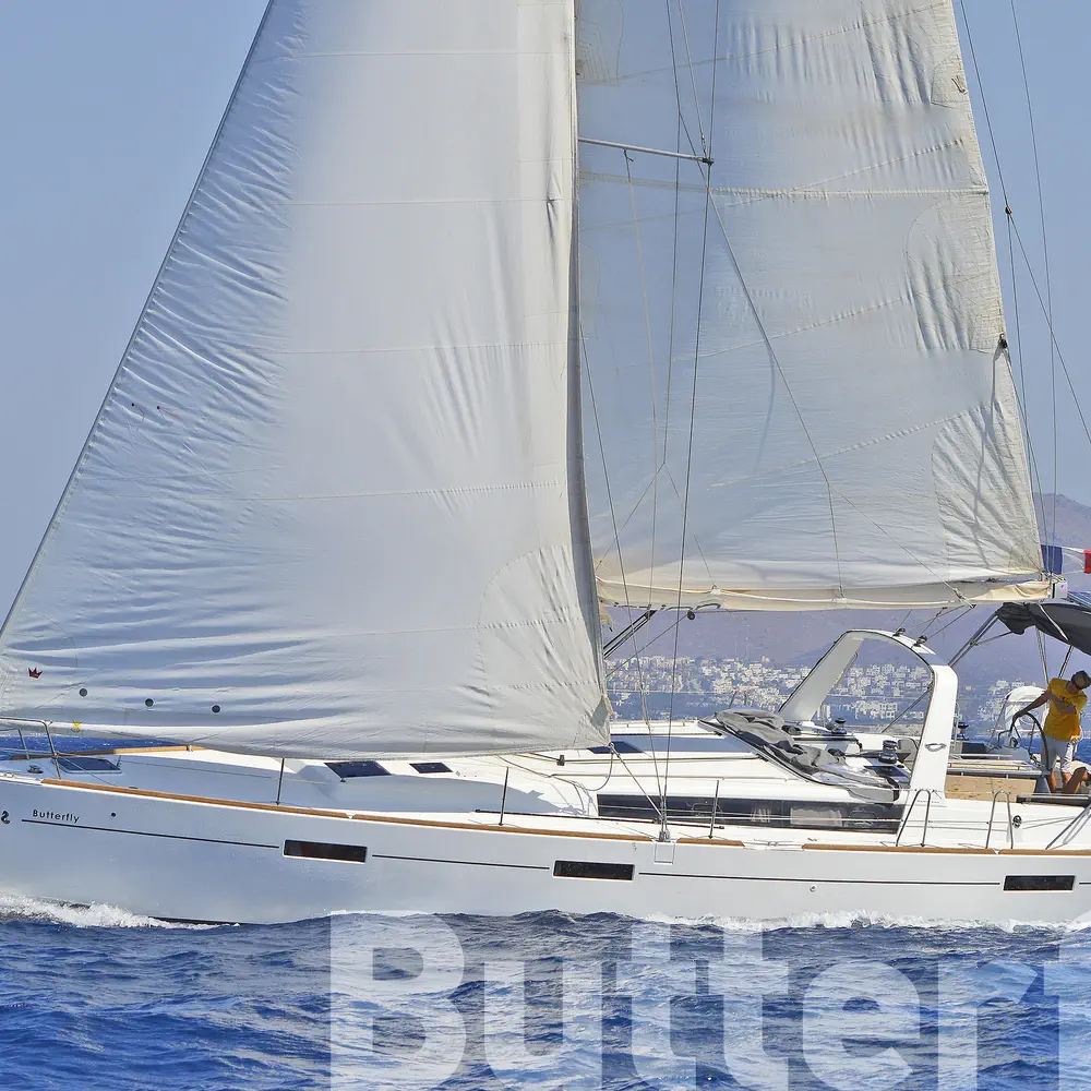 Butterfly 18