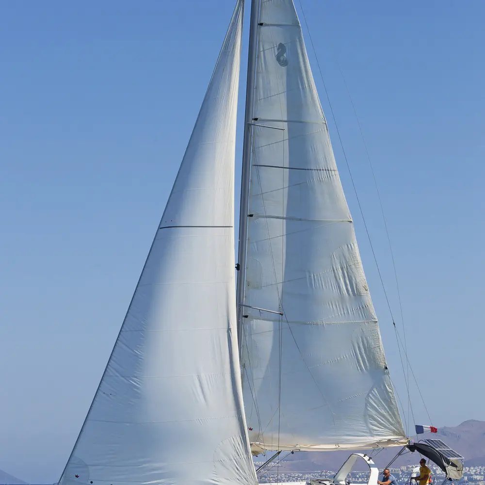 Butterfly 27
