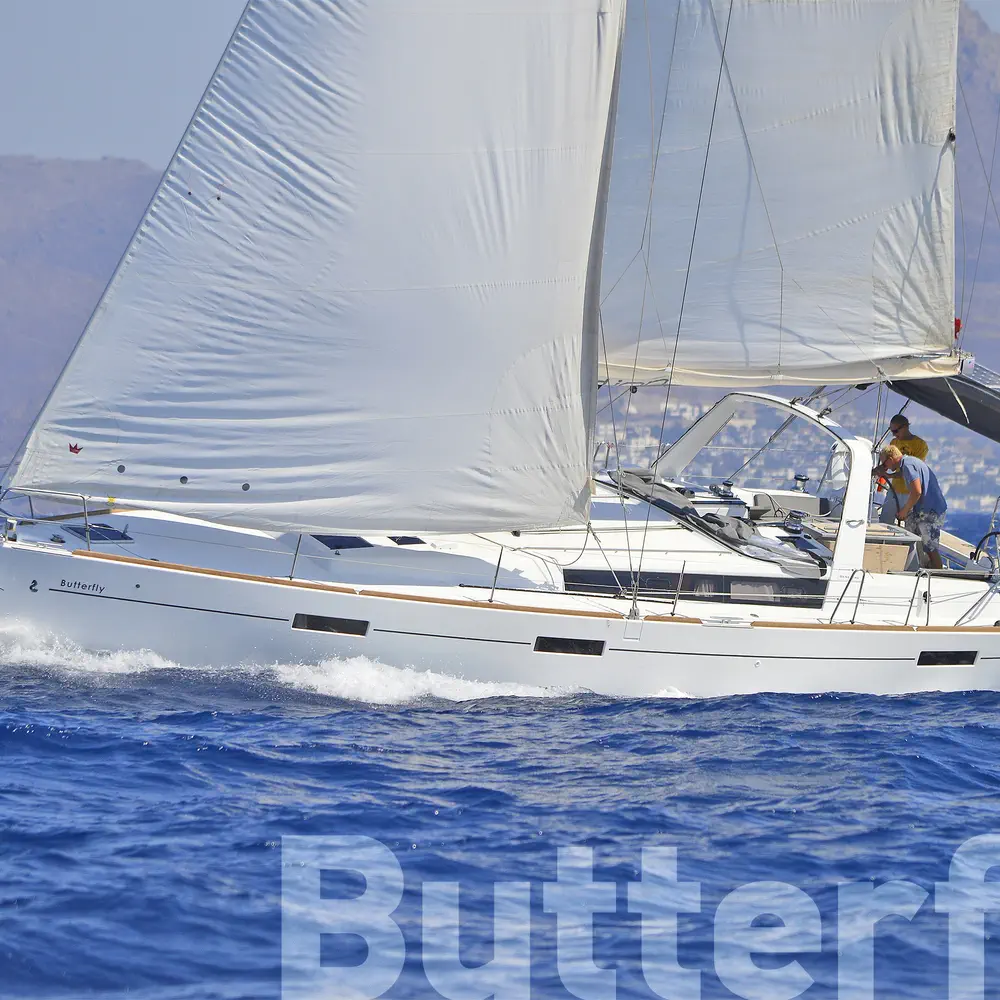 Butterfly 31