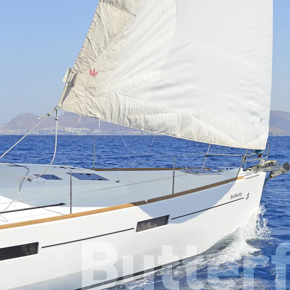 Butterfly 28