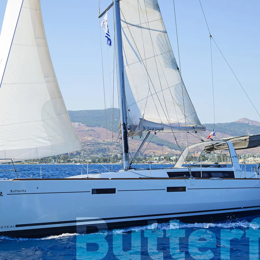 Butterfly 54