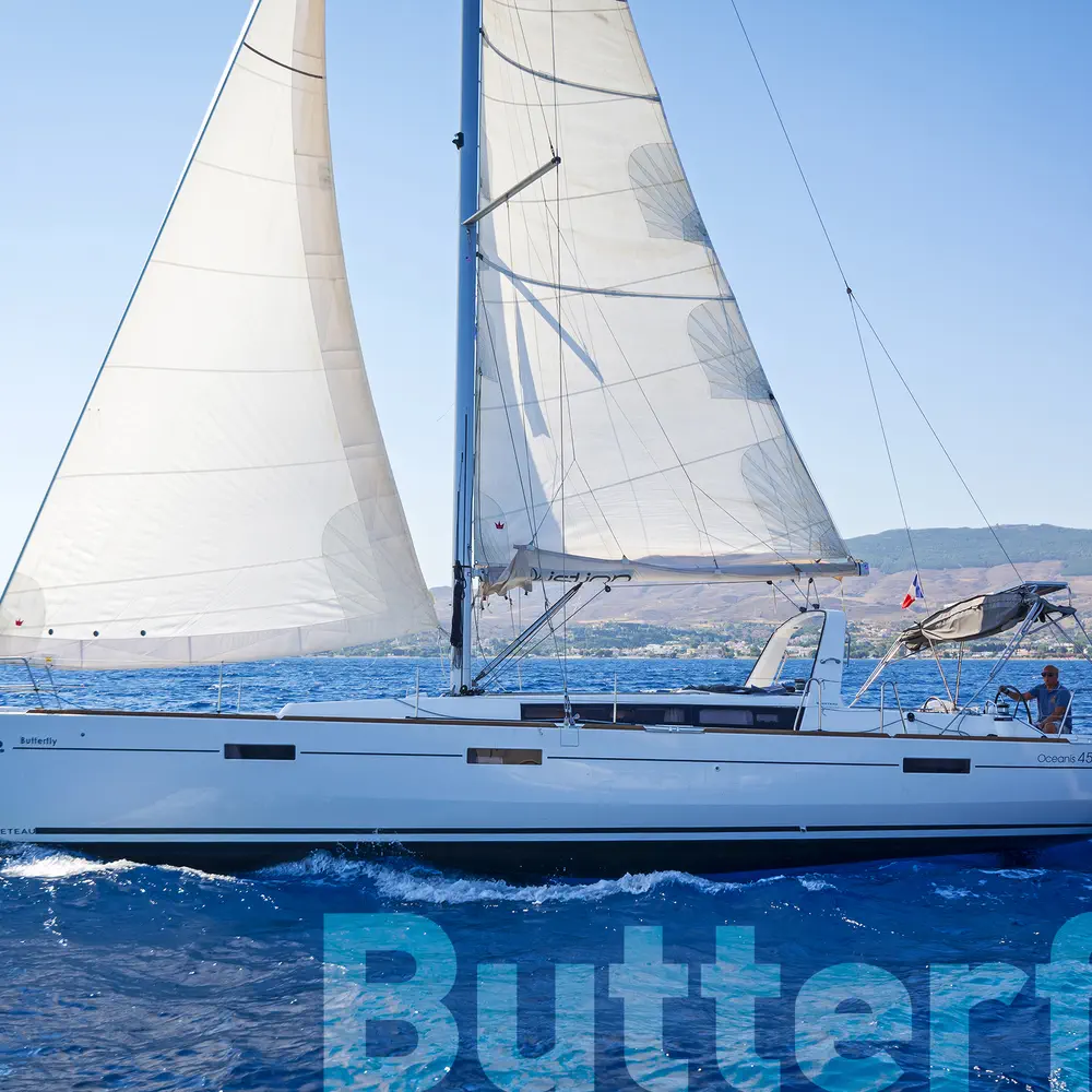 Butterfly 61