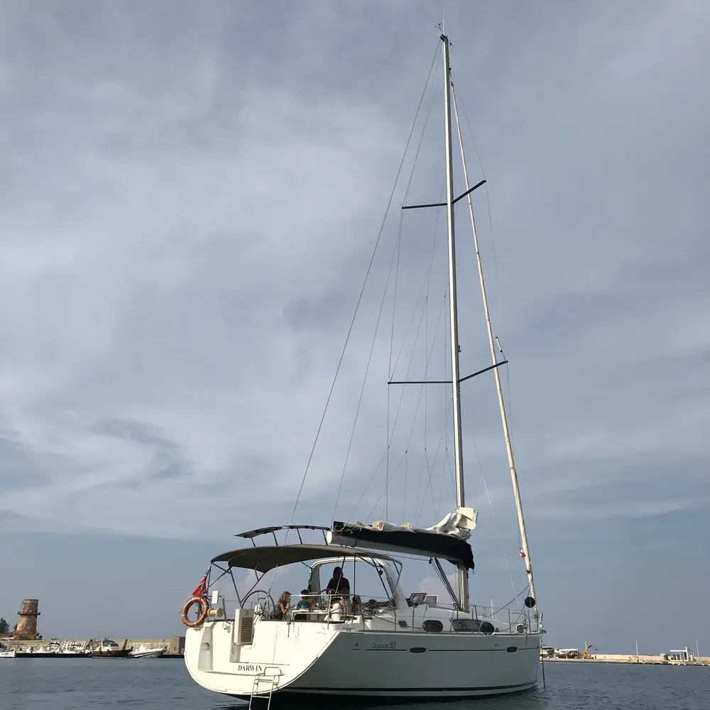 Darwin 6