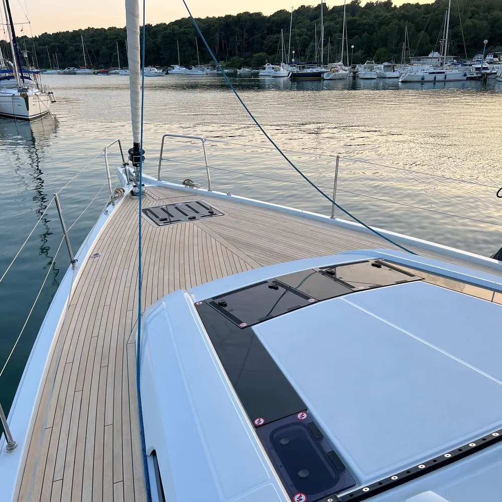 Panda II 41