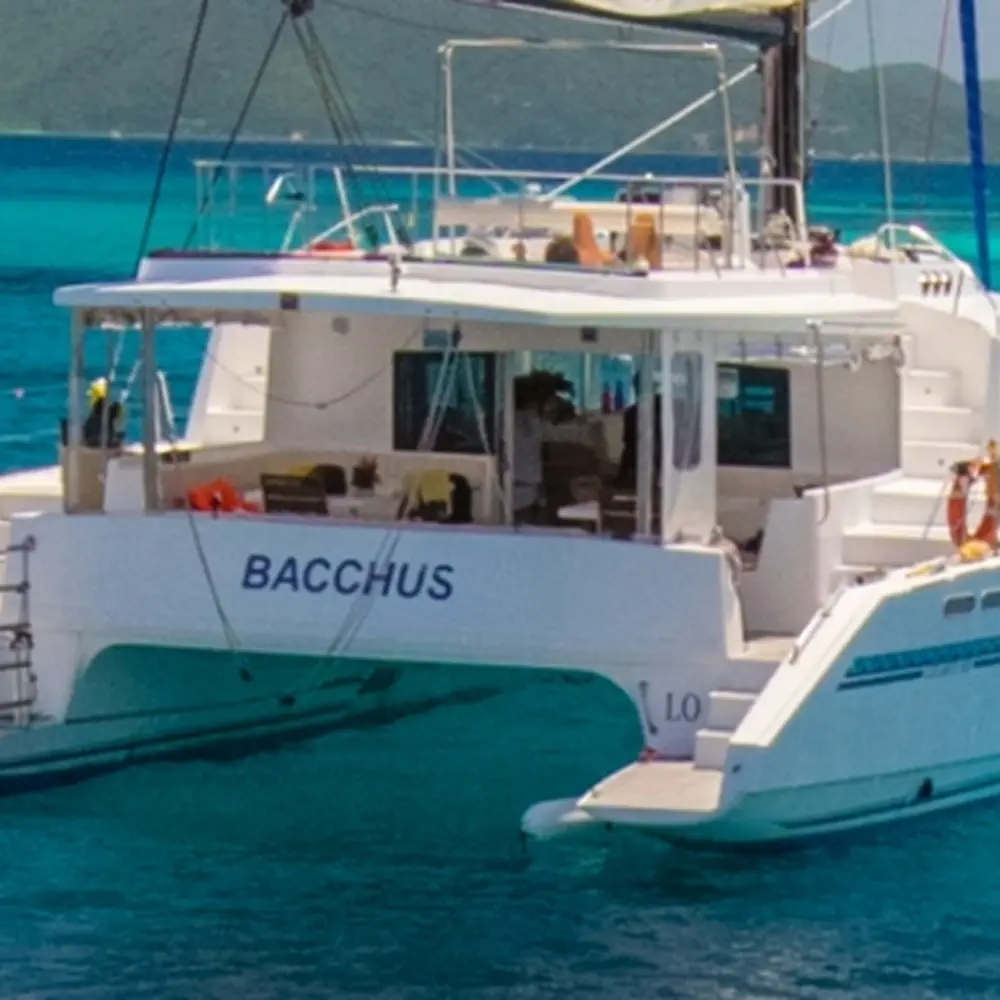 Bacchus 9