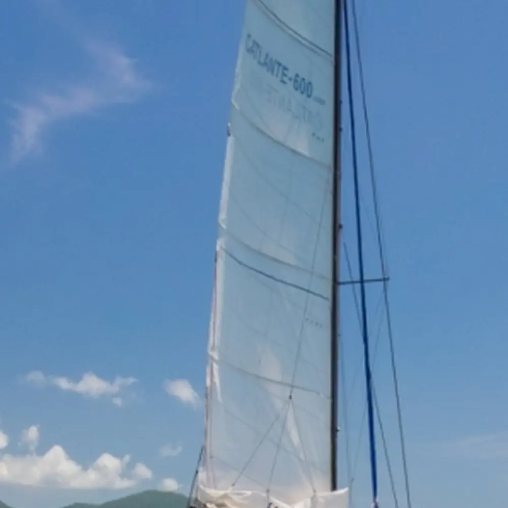 Bacchus 19