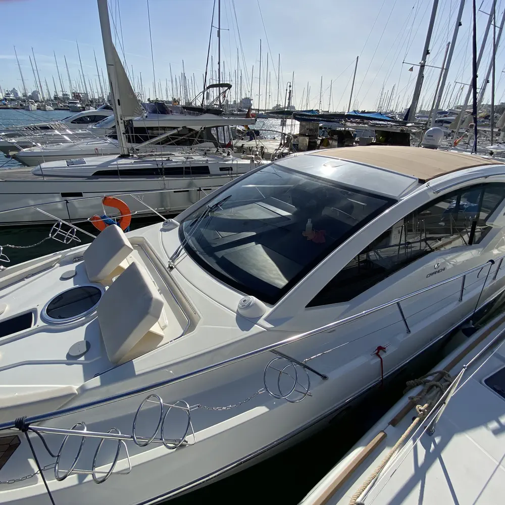 Medusa 13