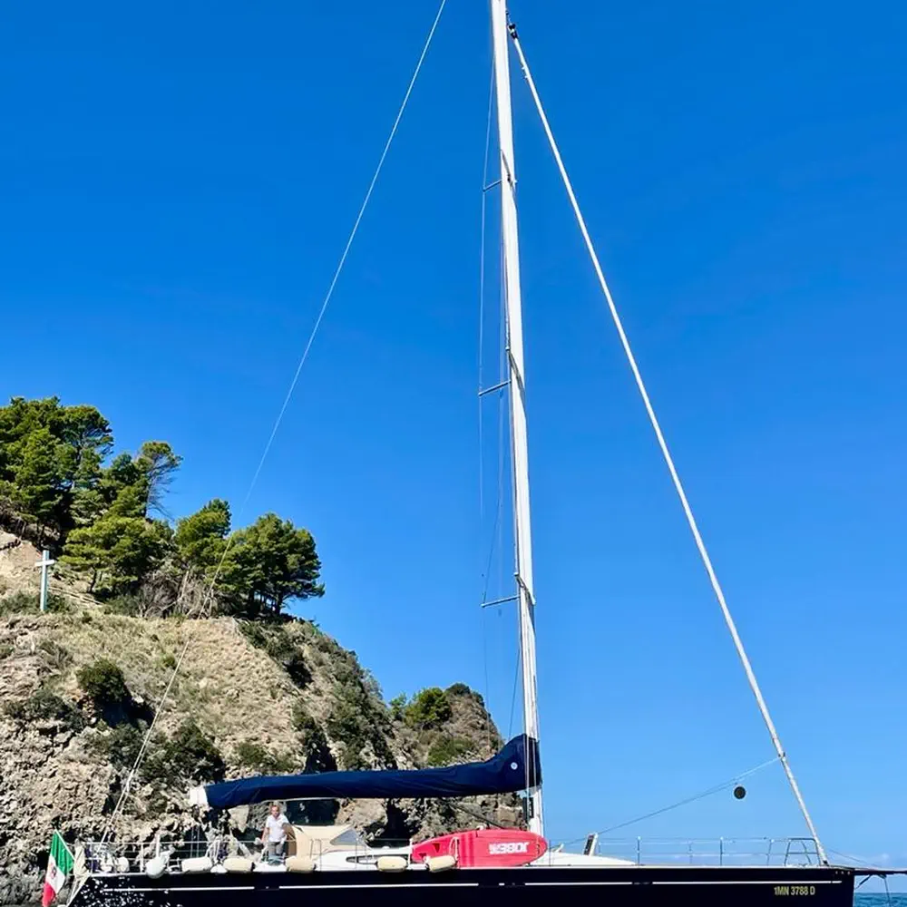 Blue Oyster 10