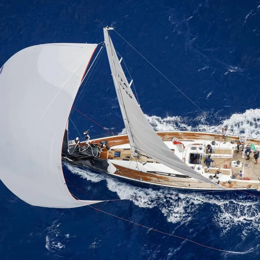 Blue Oyster 12