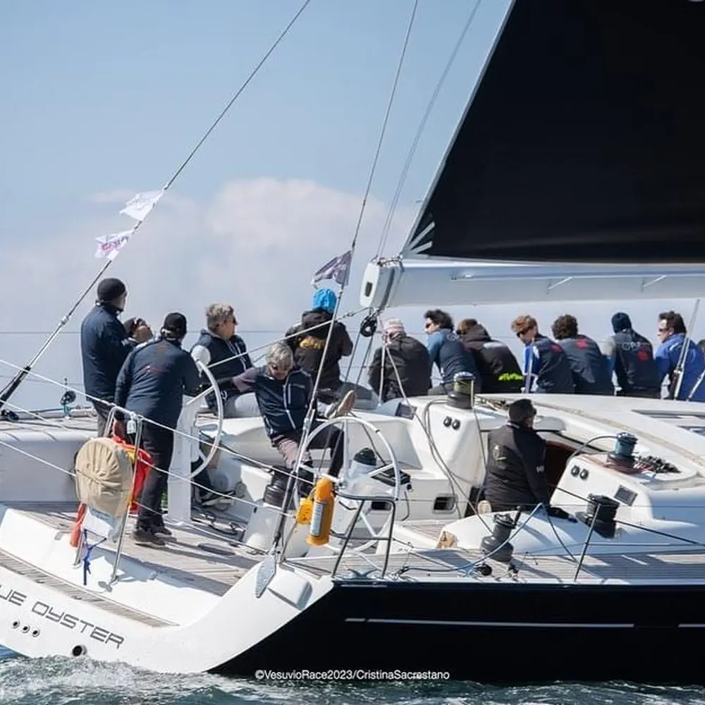 Blue Oyster 22