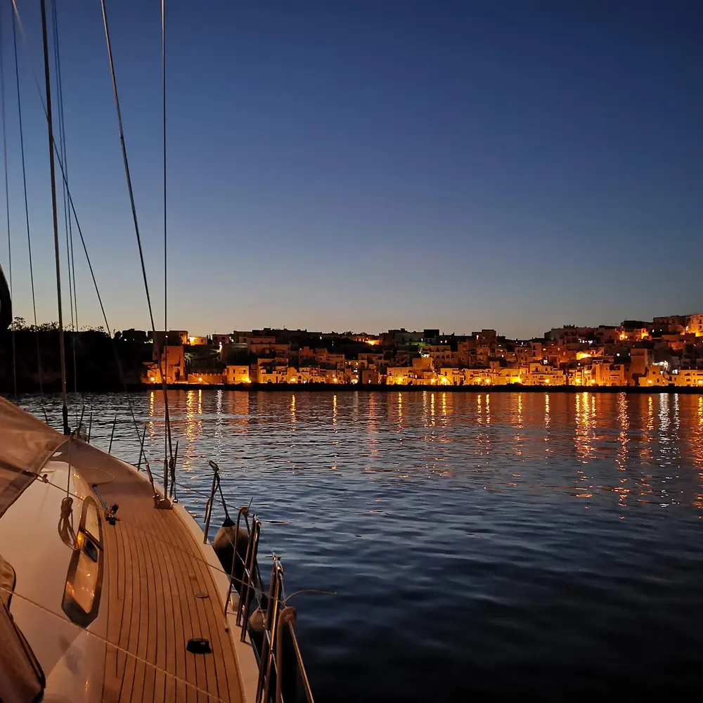 Blue Oyster 20