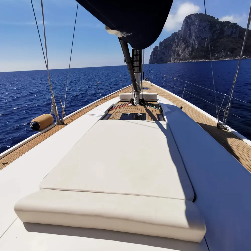Blue Oyster 23