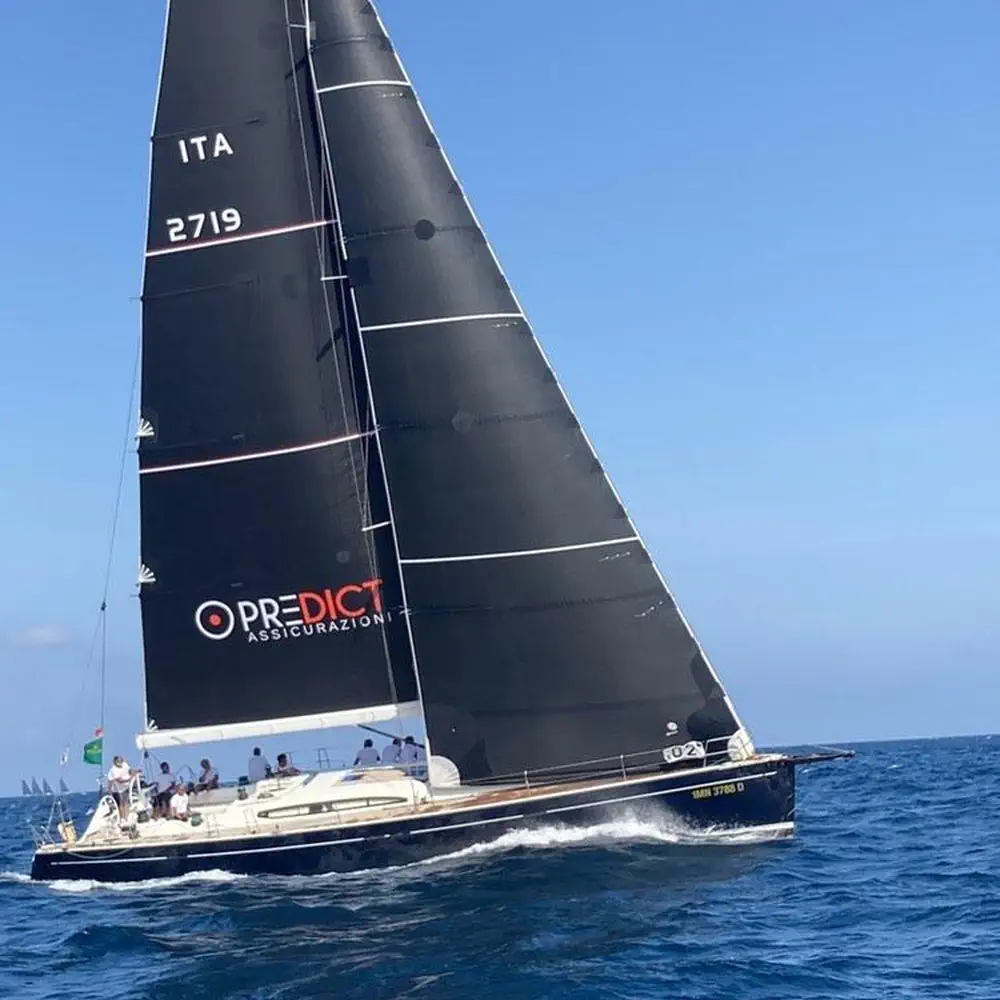 Blue Oyster 29