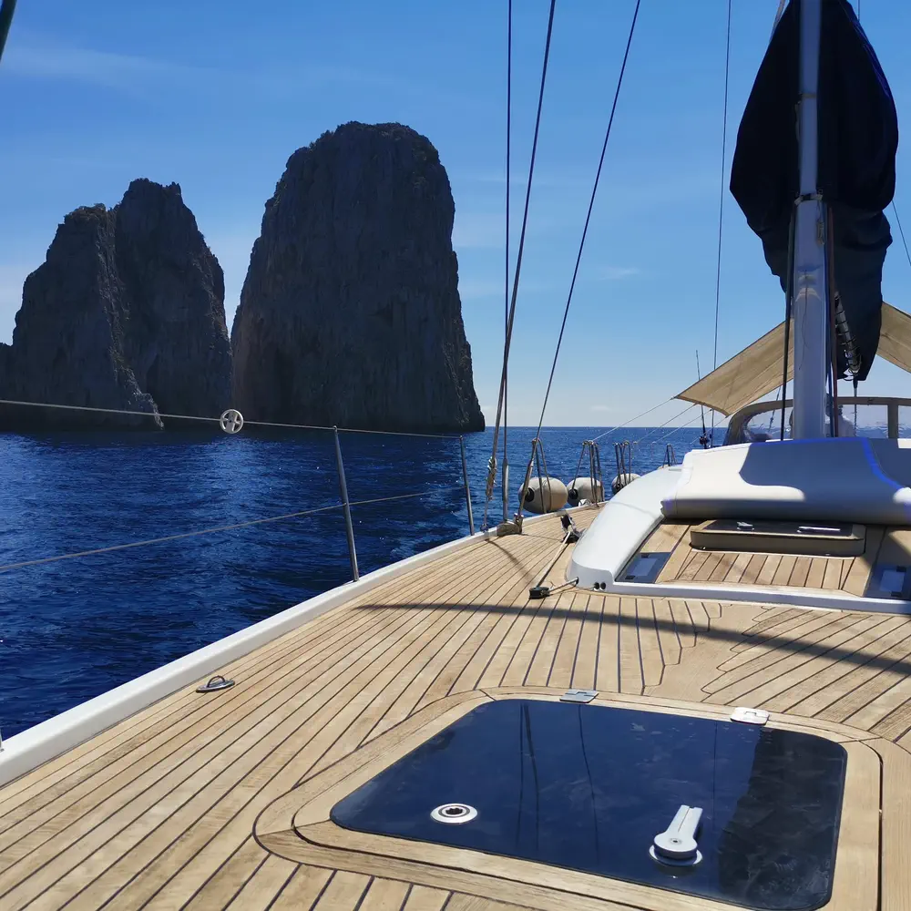 Blue Oyster 27