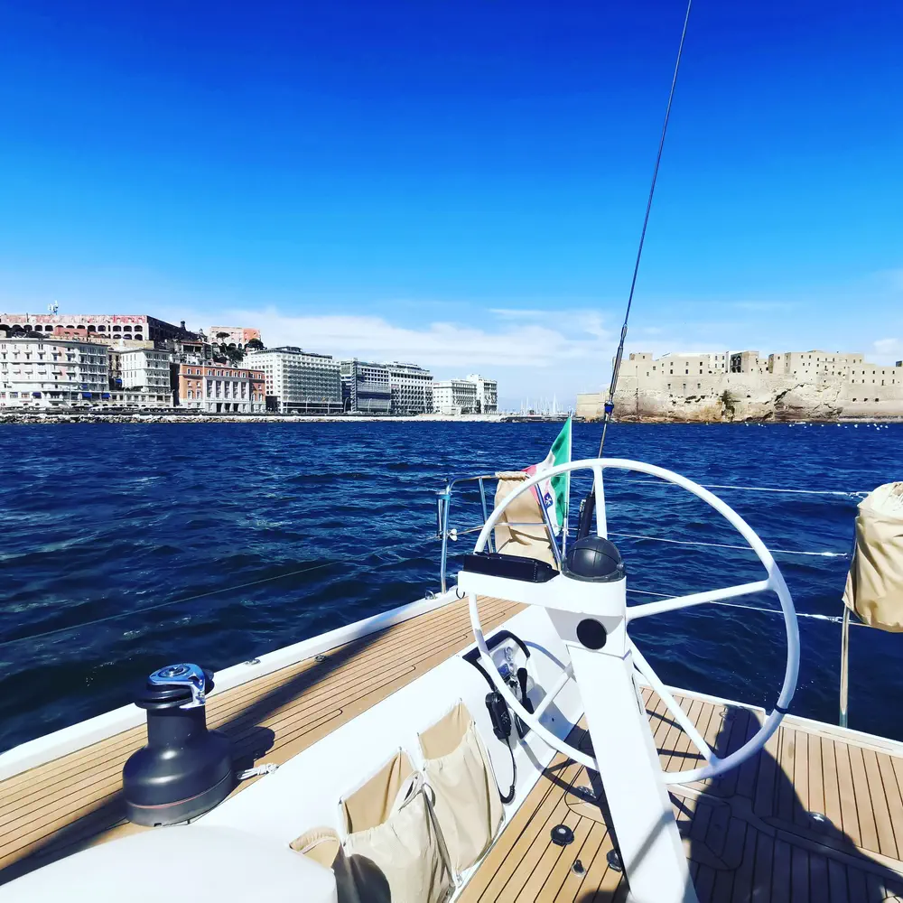 Blue Oyster 18