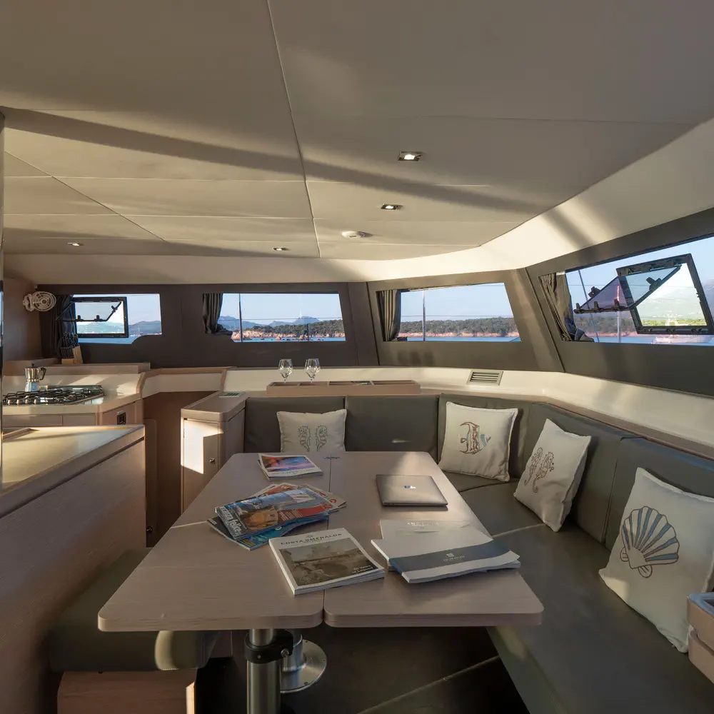 Delphinus 6