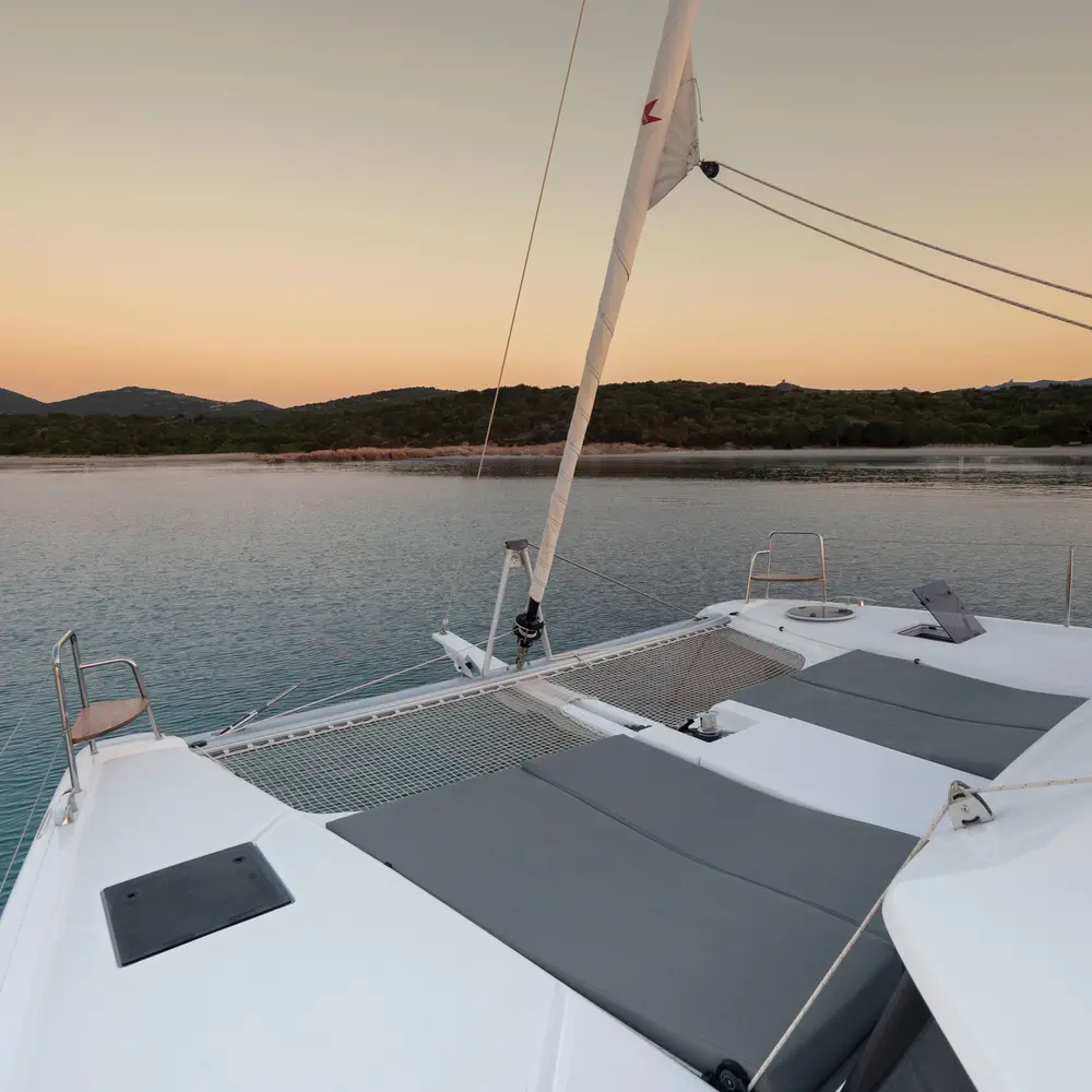 Delphinus 1