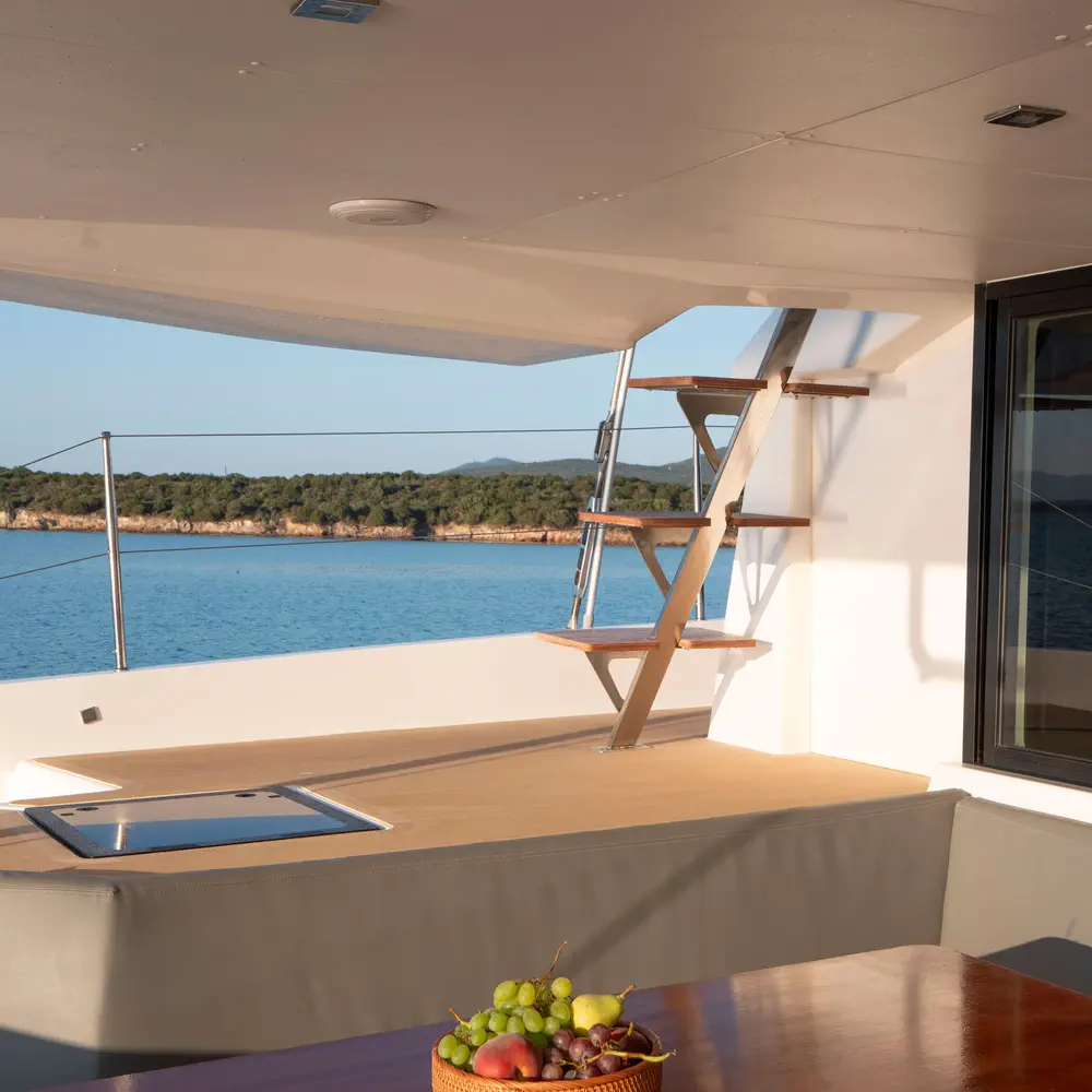Delphinus 10