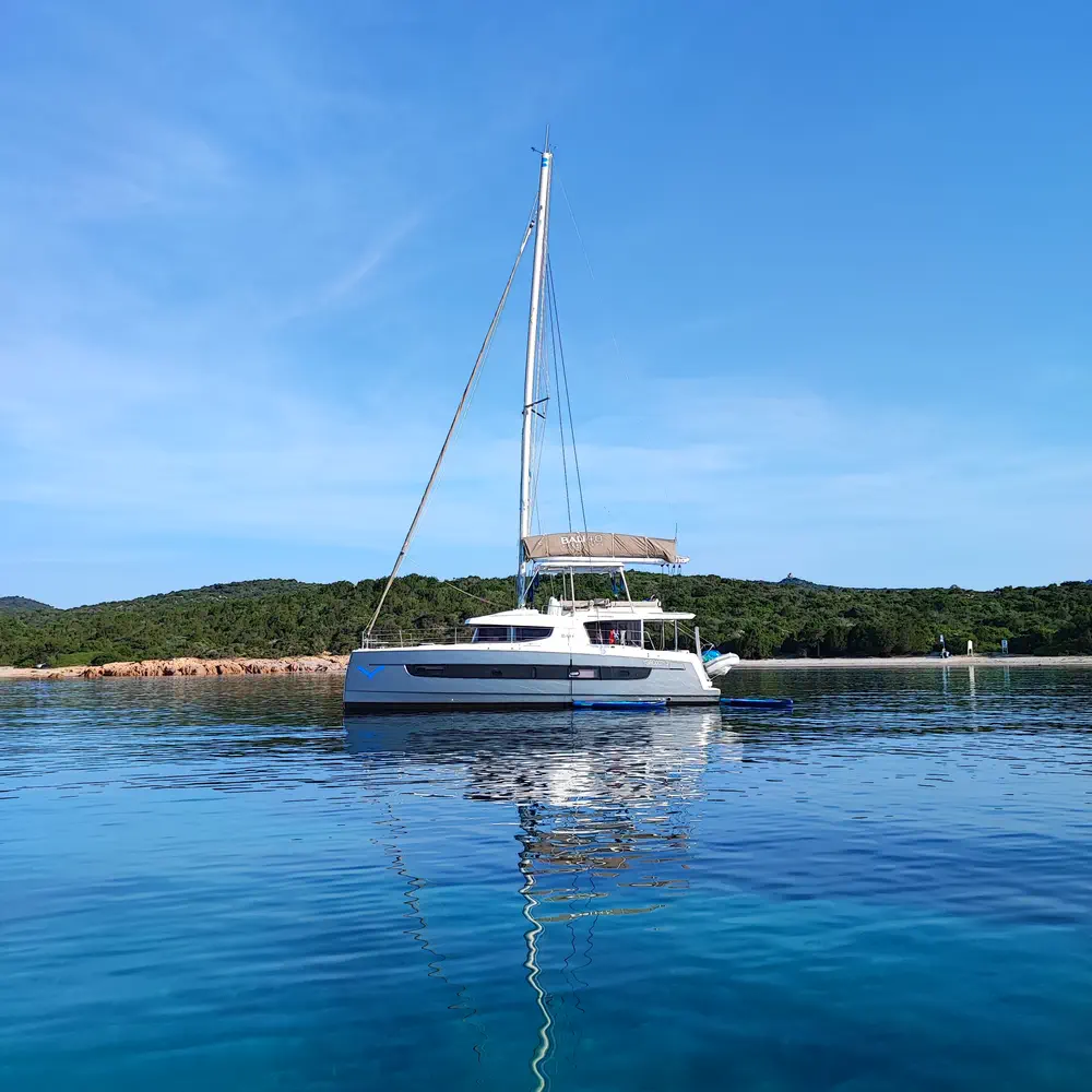 Delphinus 2