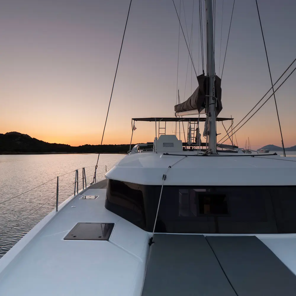 Delphinus 11