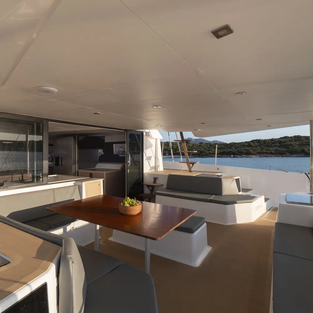 Delphinus 14